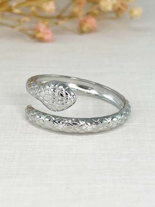 gabarit bague classiques retour 0038 IMG 6491SZC65 3