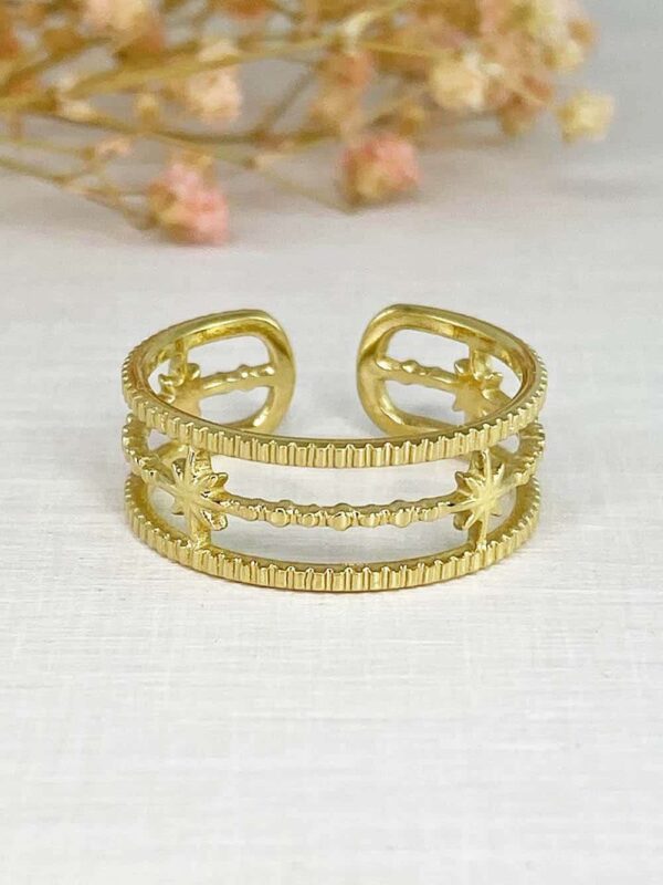 gabarit bague classiques retour 0052 IMG 6505SZC65 20220628 100812